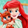Ariel Pet Care