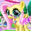 Little Pony Caretaker