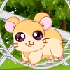 Pet Stars: Baby Hamster