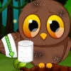 Pet Stars Baby Owl