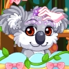 Pet Stars: Cuddly Koala