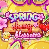 Spring Cherry Blossoms